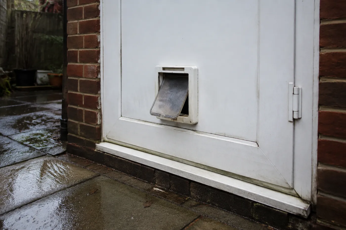 A low lightweight cat flap fitted near the base of a door