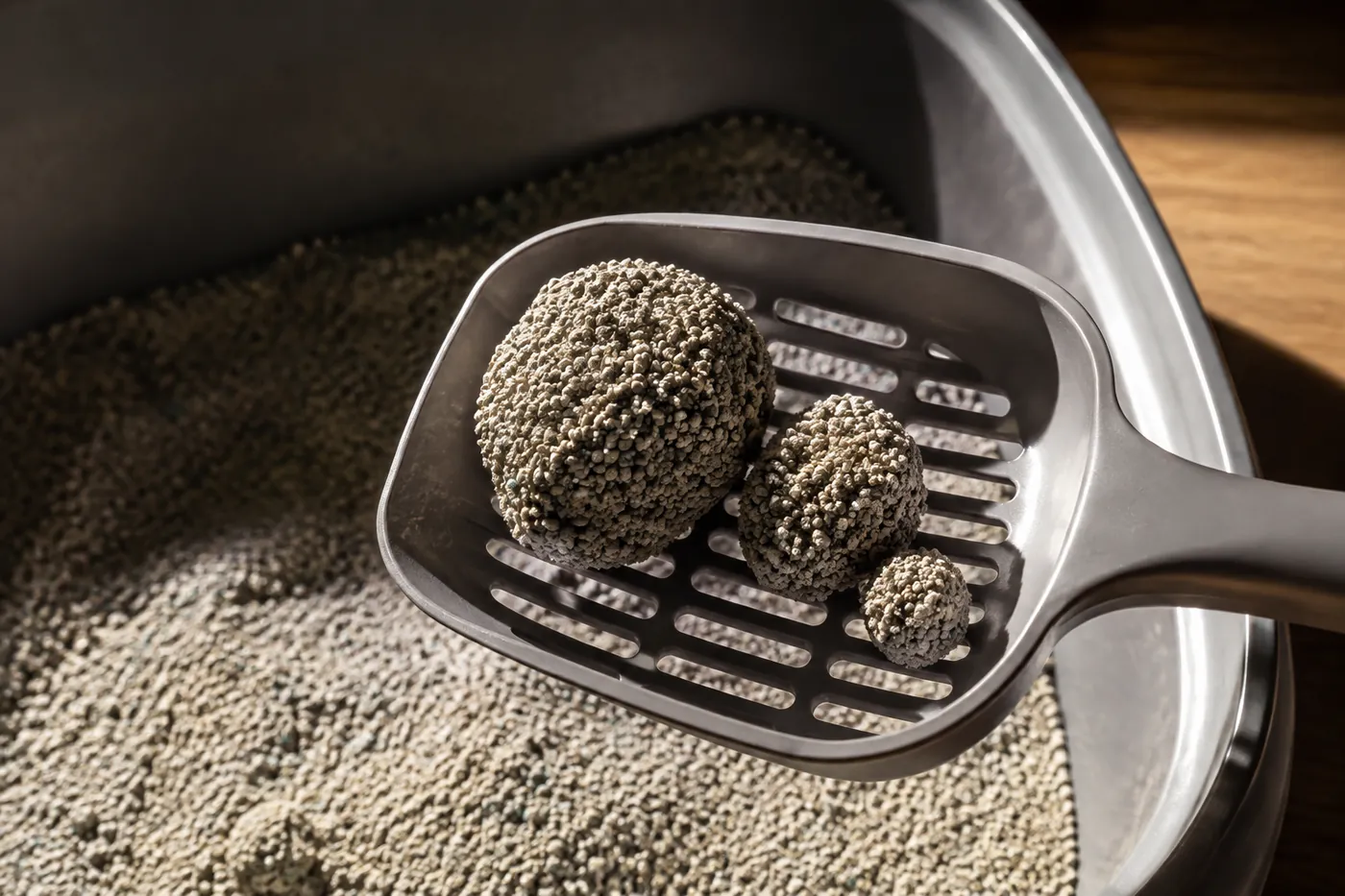 A scoop lifting clumps of different sizes from a tray