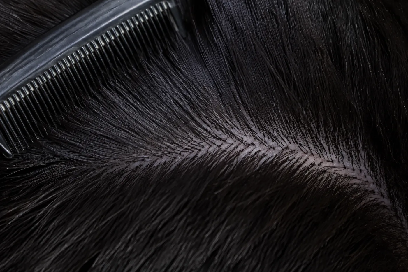 An extremely close view of black fur parted to the skin showing the same black at the roots