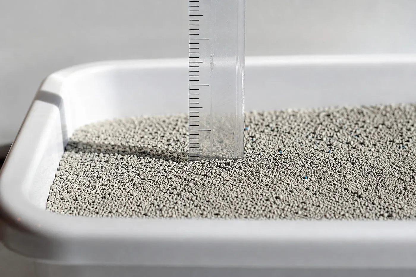 A ruler standing in a tray of clumping litter to check the depth of the bed