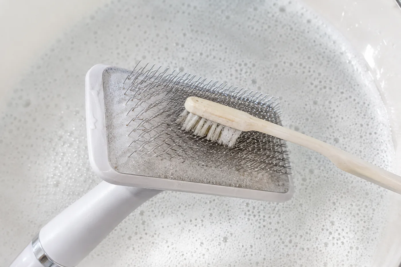 An old toothbrush working between the pins of a slicker brush