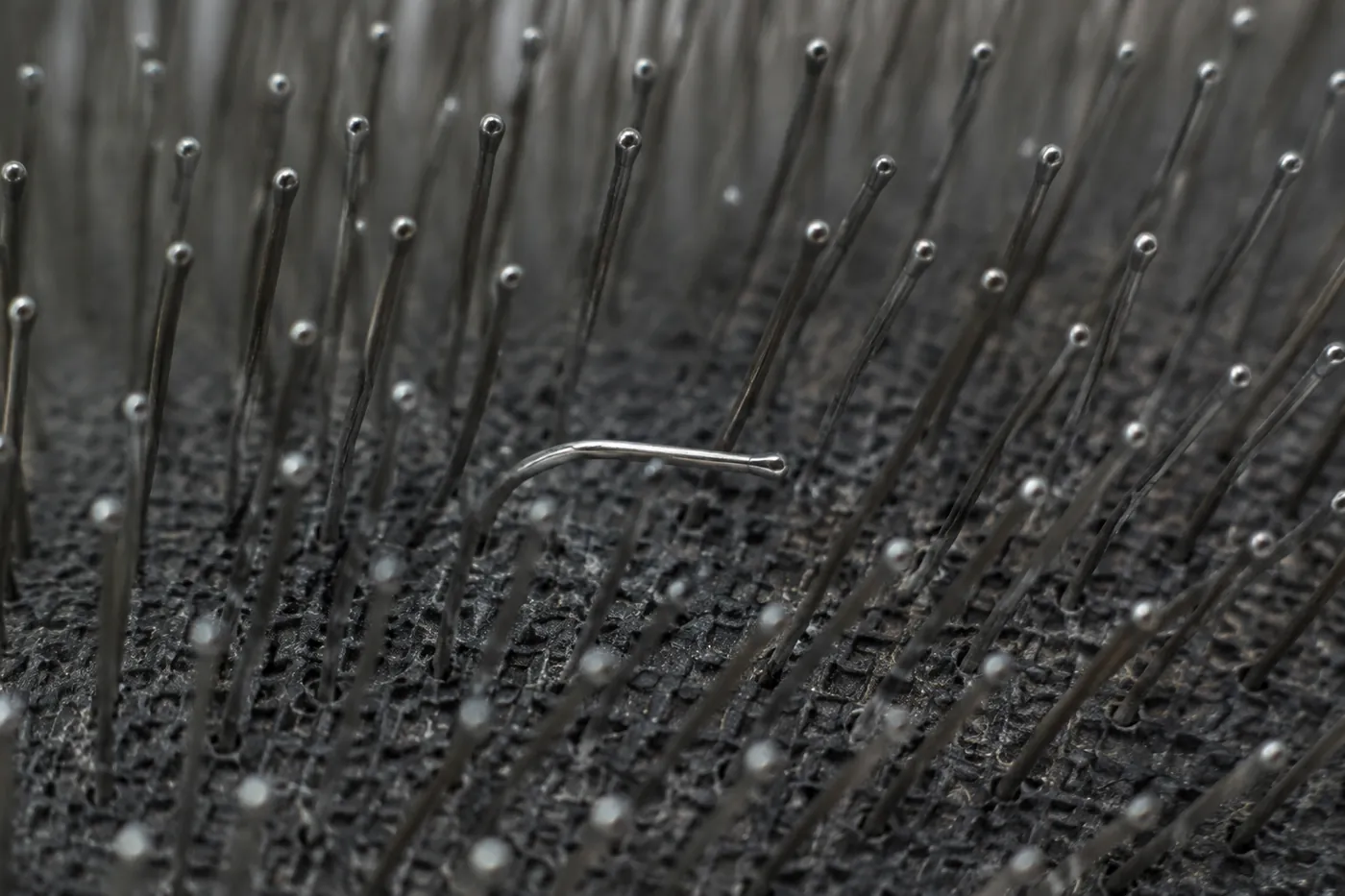 A bent and splayed pin among the straight pins of a slicker brush
