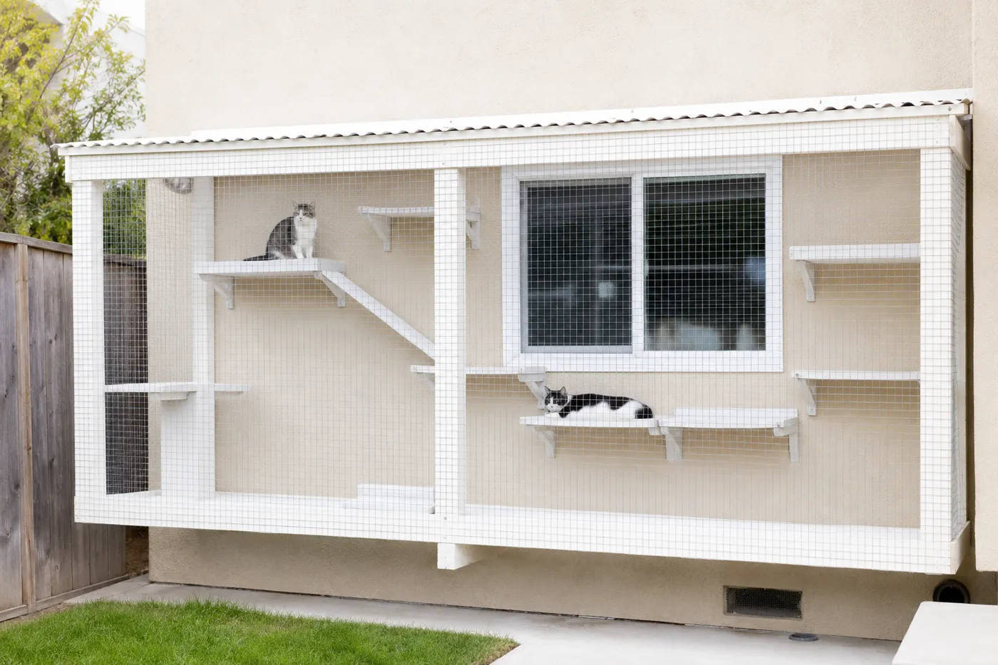 An enclosed outdoor cat run attached to a house window
