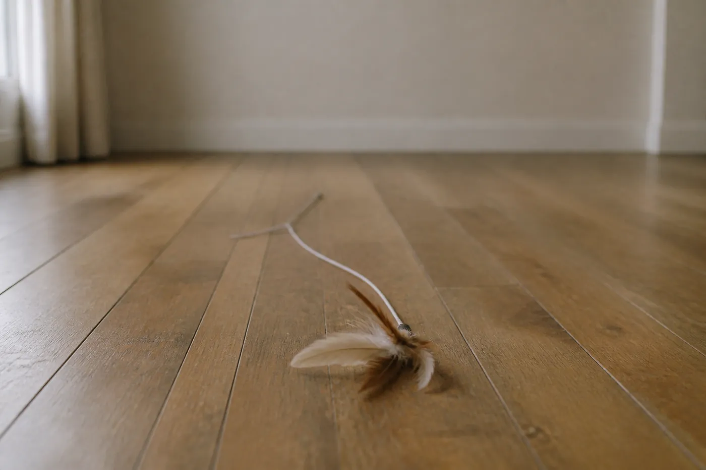 A feather wand toy trailing along the floor away from the camera