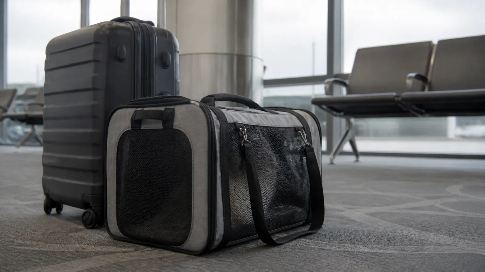 Airline carriers